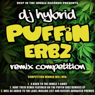 Puffin Erbz Remix Competition