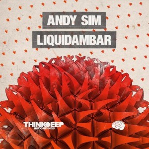 Andy Sim - Liquidambar LP