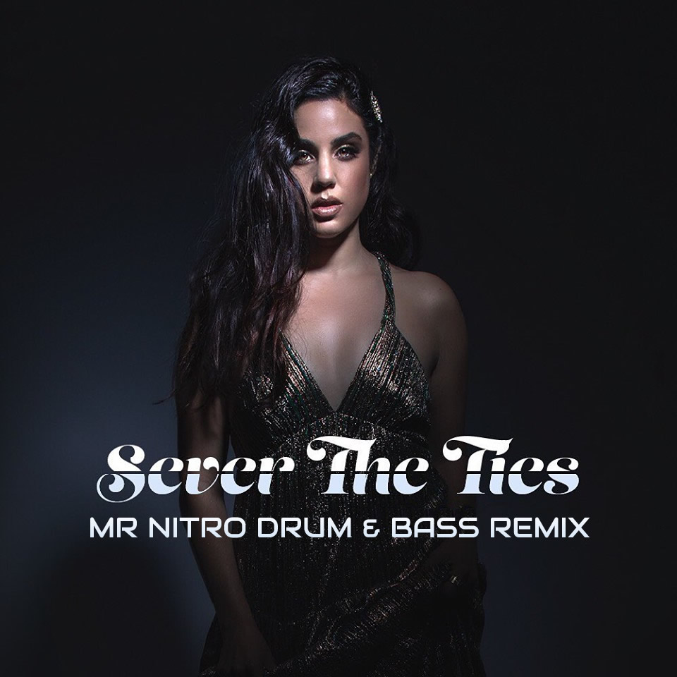 Jesse Palter – Sever The Ties (Mr Nitro Drum & Bass Remix) | Free Download