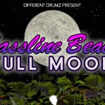 Bassline Beach - Full Moon | DDVR