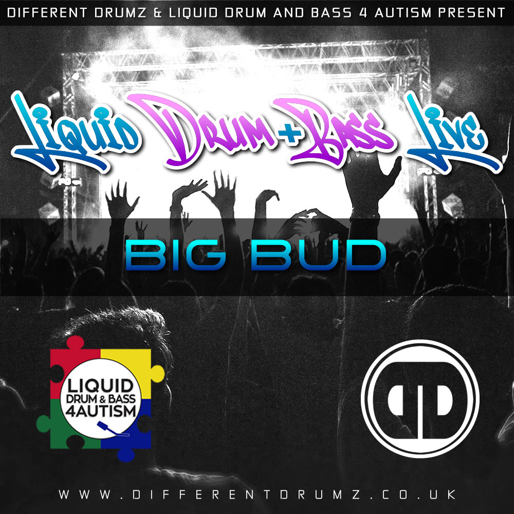 DDVR & LDNB4A Liquid Drum & Bass Live Mix - Big Bud